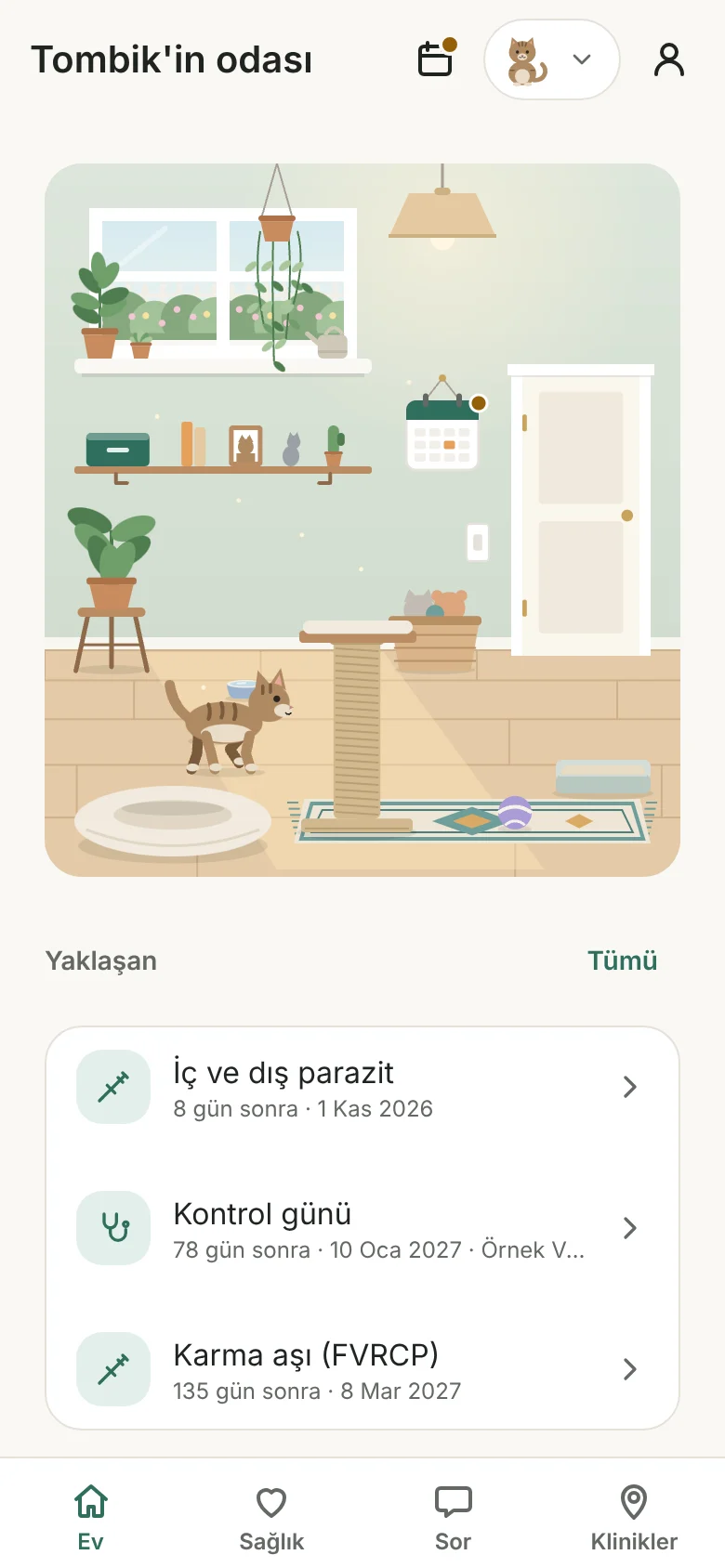 Pativoo ev ekranı: hayvanın odası ve yaklaşan işler
